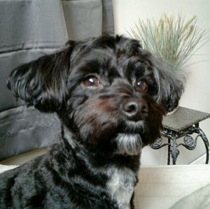 Meet your Posher, Alisha